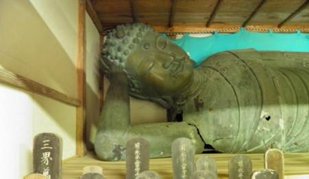 里山の自然観察b