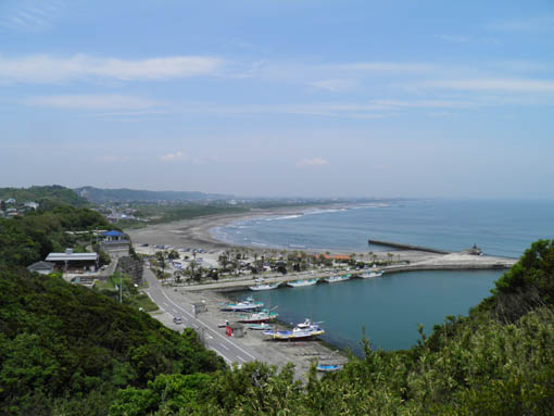 太東の岬で海辺の植物観察
